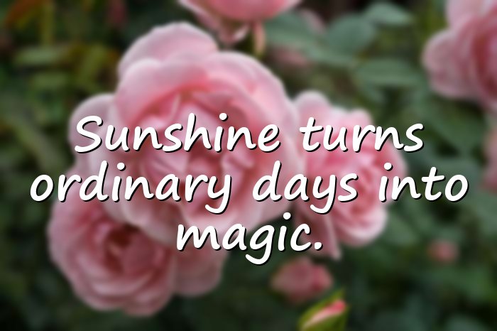 sunshine quotes - 11