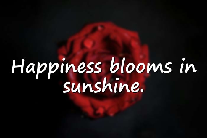 sunshine quotes - 6