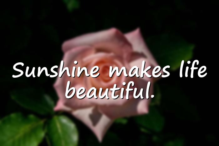 sunshine quotes - 1