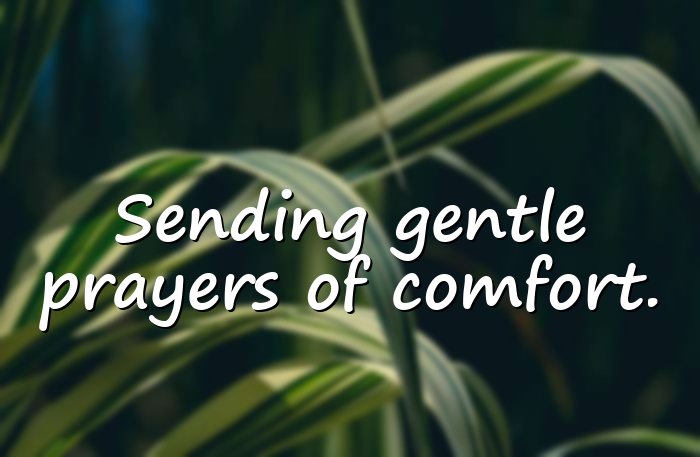 sympathy quotes - 1