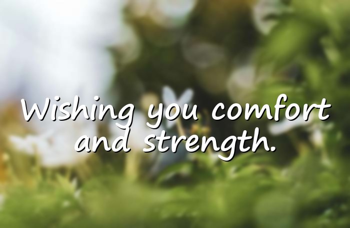sympathy quotes - 21