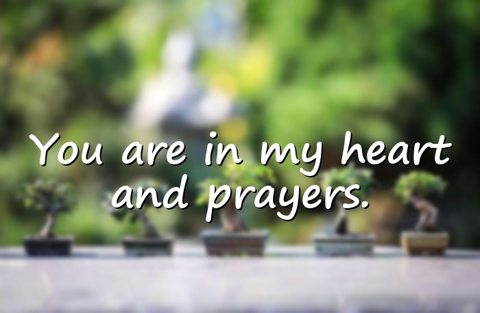sympathy quotes - 11