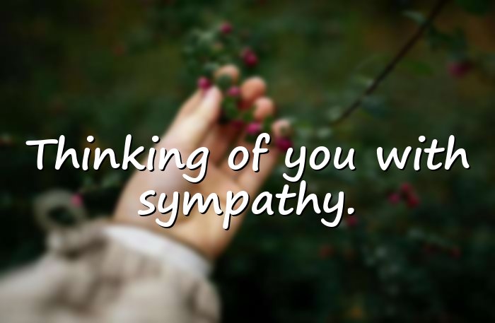 sympathy quotes - 6