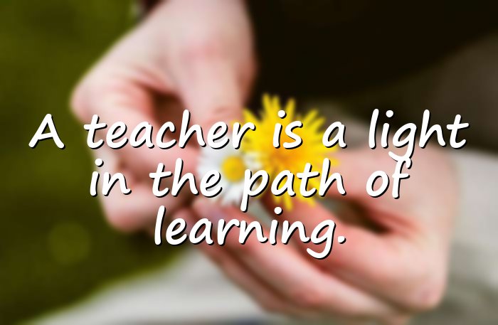 teacher appreciation quotes - 11