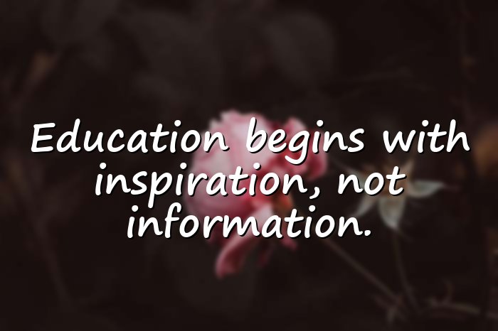 teacher quotes - 21