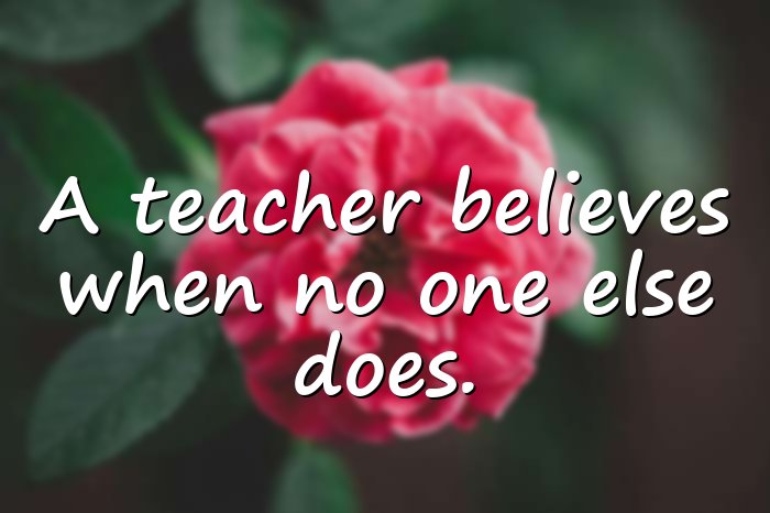 teacher quotes - 11