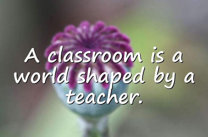 teacher quotes - 21