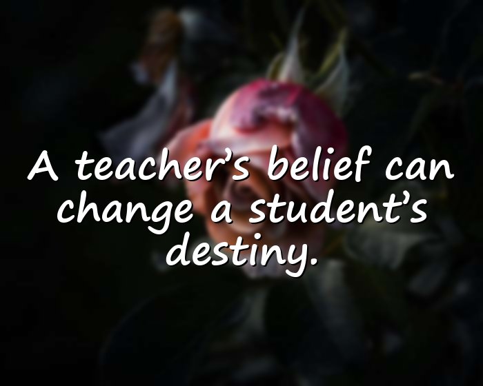 teacher quotes - 6