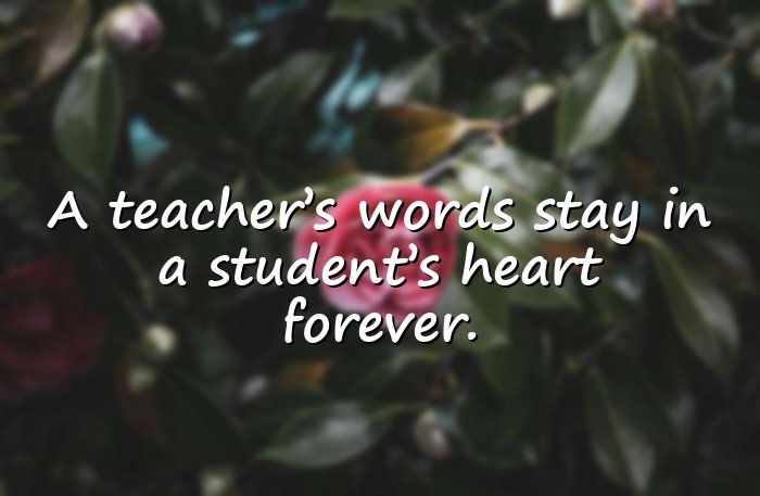 teachers day quotes - 11