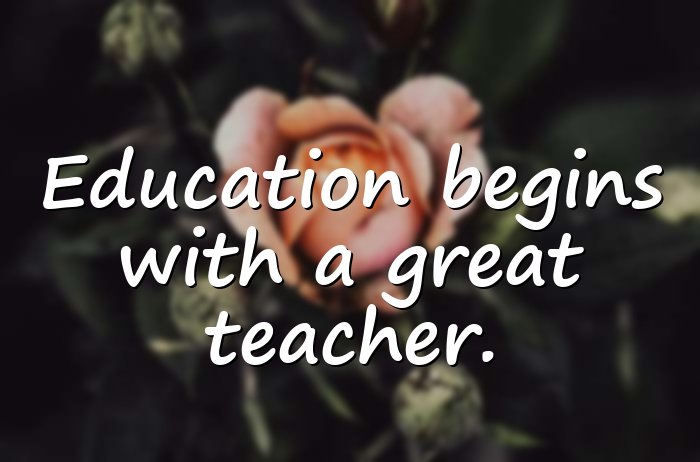 teachers day quotes - 16