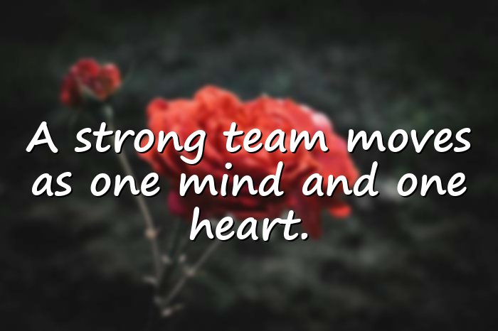 team quotes - 21