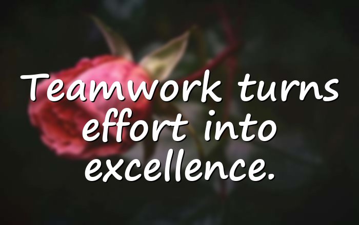 team quotes - 16