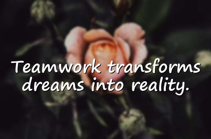 team quotes - 11