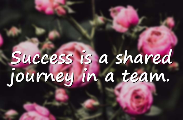 team quotes - 6