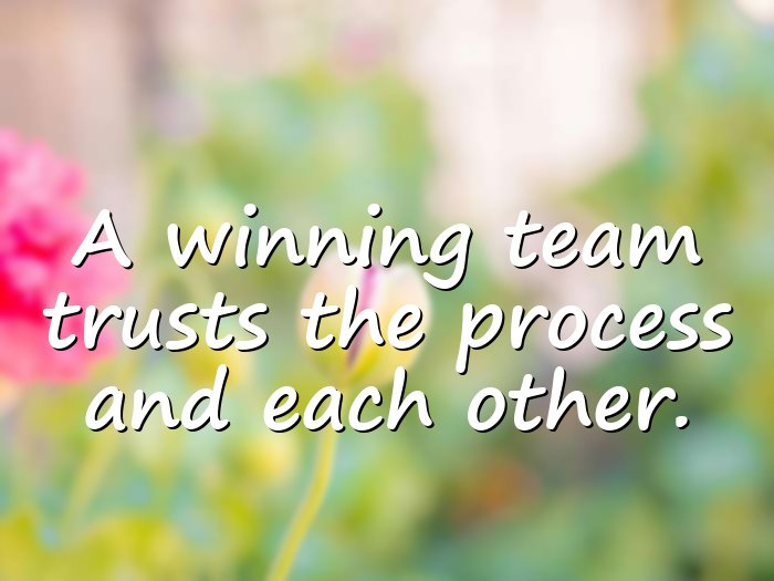 team quotes - 16