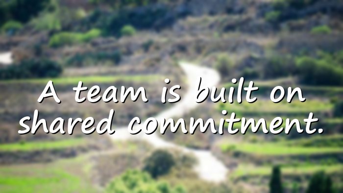 team quotes - 11