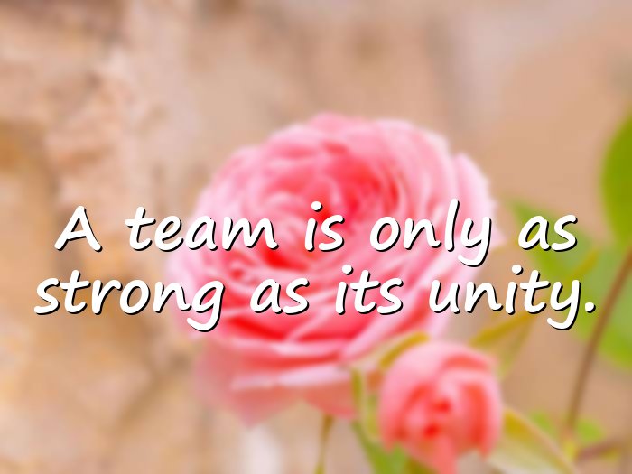 team quotes - 6