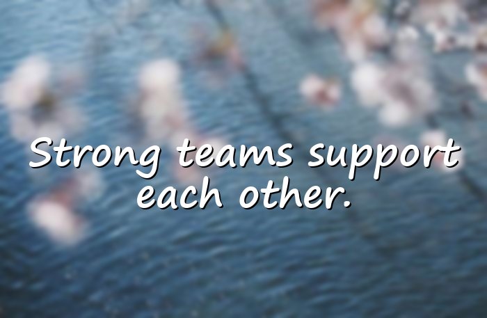 teamwork quotes - 16