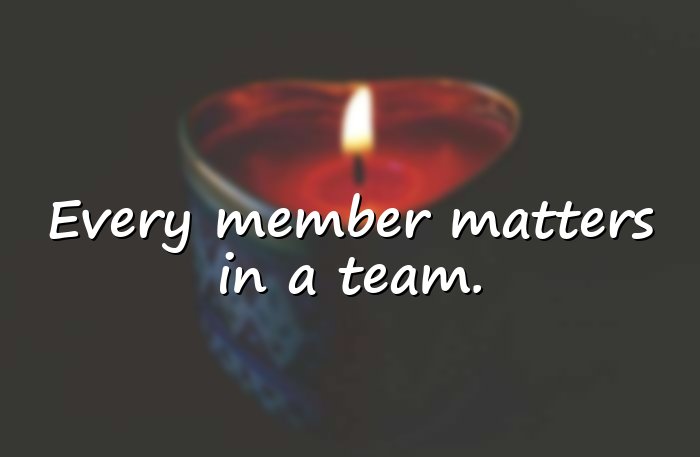 teamwork quotes - 6
