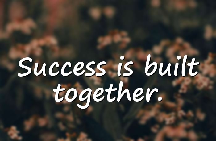 teamwork quotes - 1