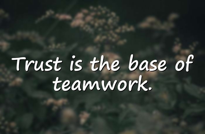teamwork quotes - 21