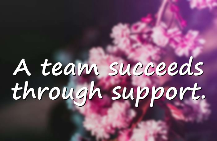teamwork quotes - 16