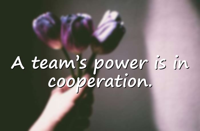 teamwork quotes - 6