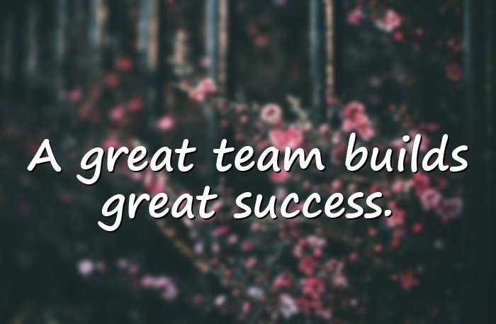 teamwork quotes - 1