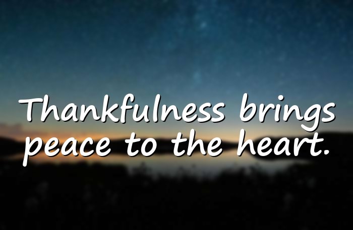thankful quotes - 16