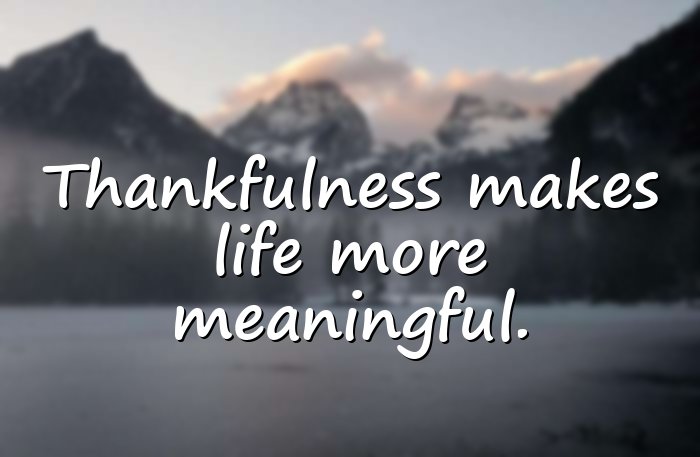 thankful quotes - 21
