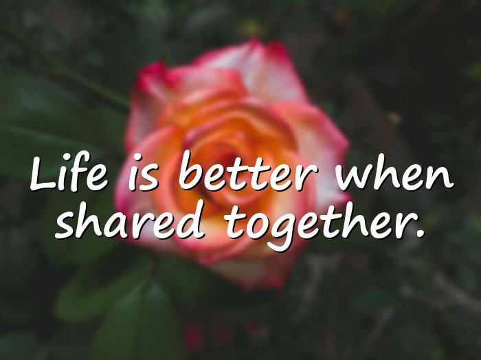 togetherness quotes - 21