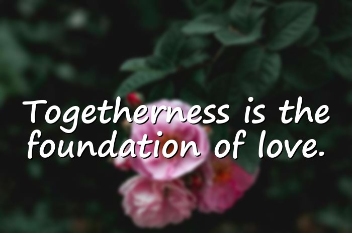 togetherness quotes - 16