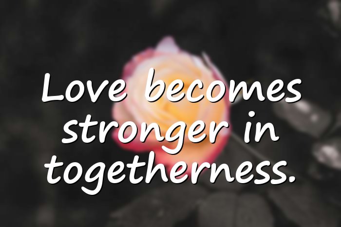 togetherness quotes - 1