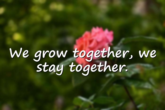 togetherness quotes - 6