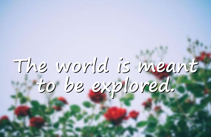 travel quotes - 21