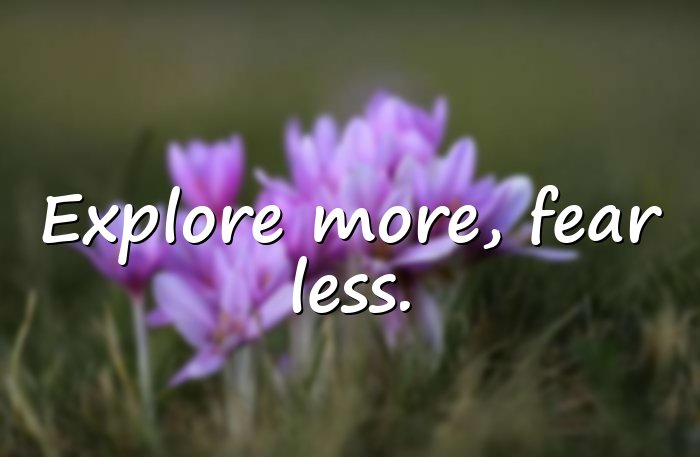 trip quotes - 1