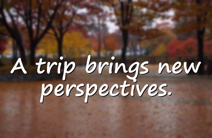 trip quotes - 16