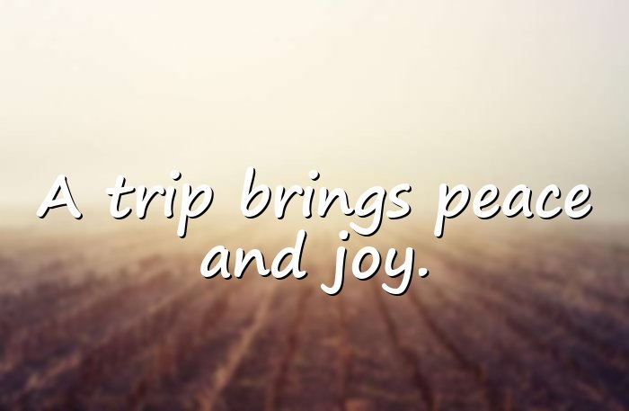 trip quotes - 6