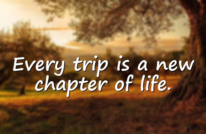 trip quotes - 1