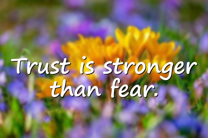 trust quotes - 11