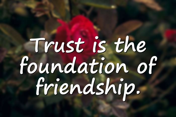 trust quotes - 16