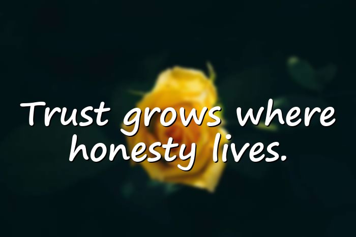 trust quotes - 11
