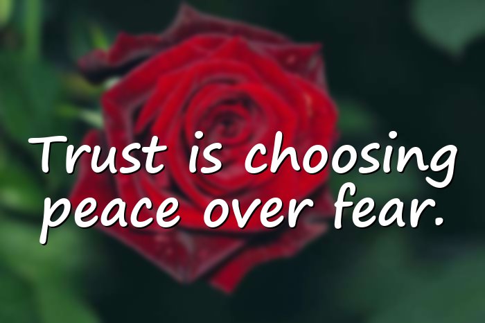 trust quotes - 6
