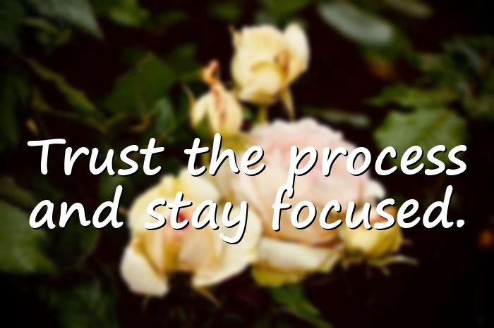 trust the process quotes - 11