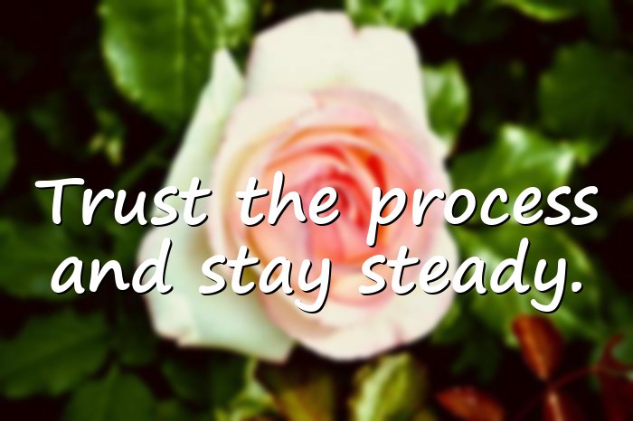 trust the process quotes - 21