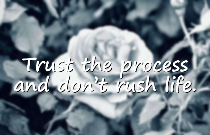 trust the process quotes - 11