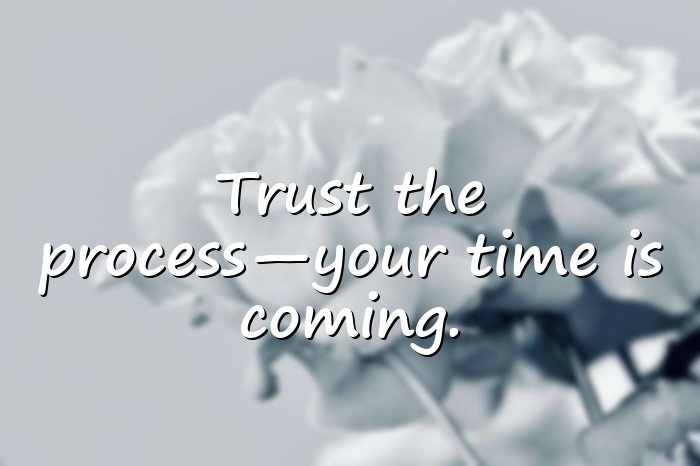 trust the process quotes - 1