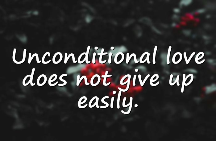 unconditional love quotes - 11