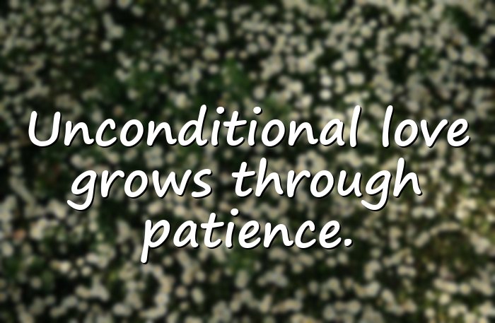unconditional love quotes - 1