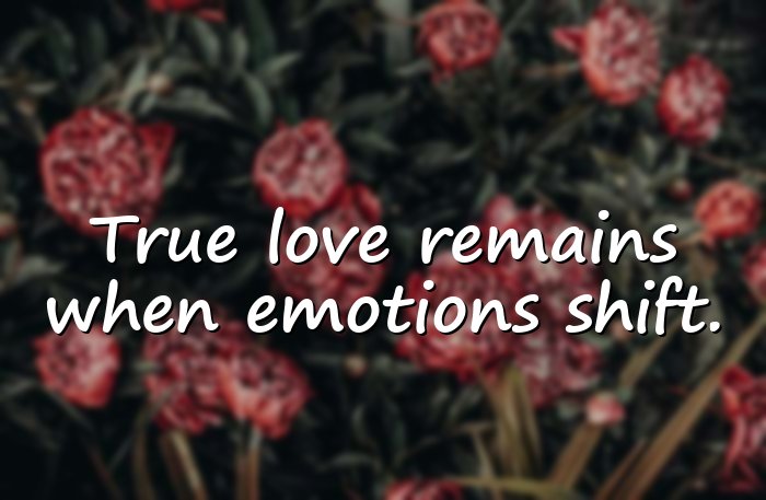 unconditional love quotes - 21